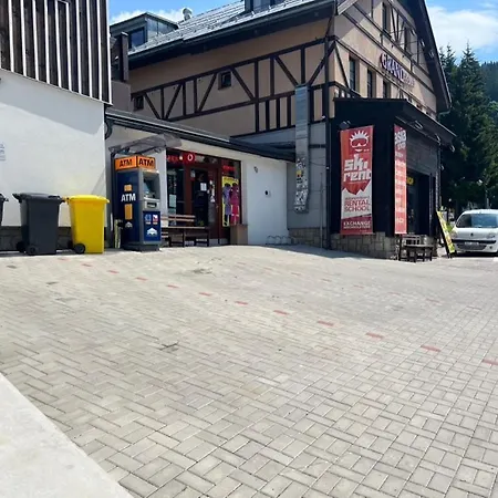 Synek Pension-2