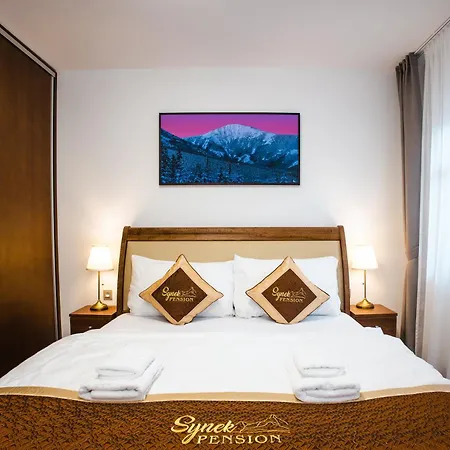 Synek Pension-3