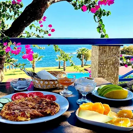 Stella Beach Hotel (Adults Only)-2
