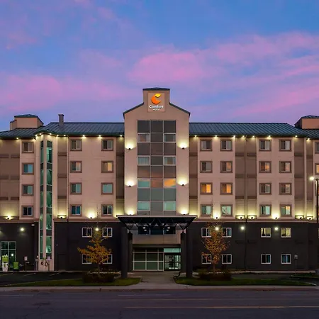 Comfort Hotel-2