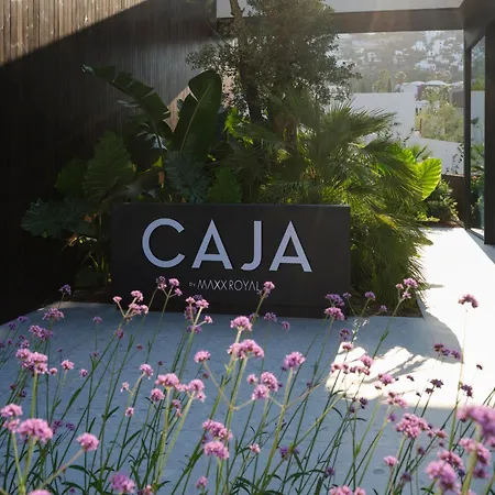 Caja By Maxx Royal-2