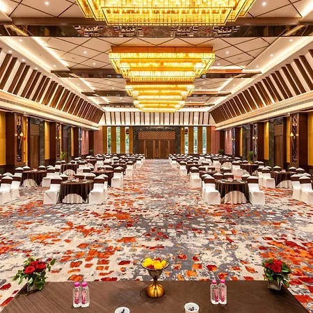 Hotel Marigold Jaipur-2