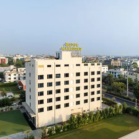 Hotel Marigold Jaipur-3
