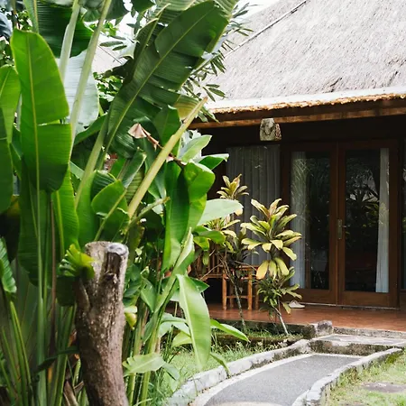 Olo Surf Nature-2