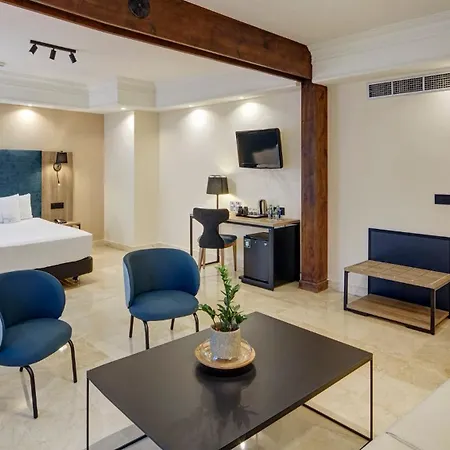 Hotel Sercotel Alfonso VI-2