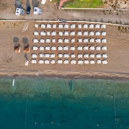 Viking Star Hotel-2