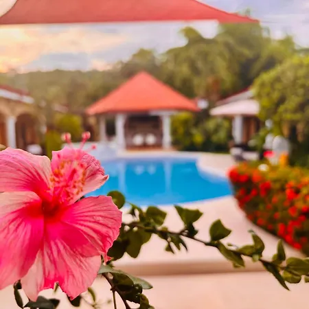 Las Brisas Resort And Villas-3