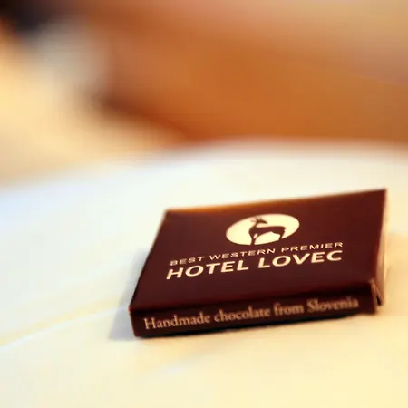 Hotel Lovec-2