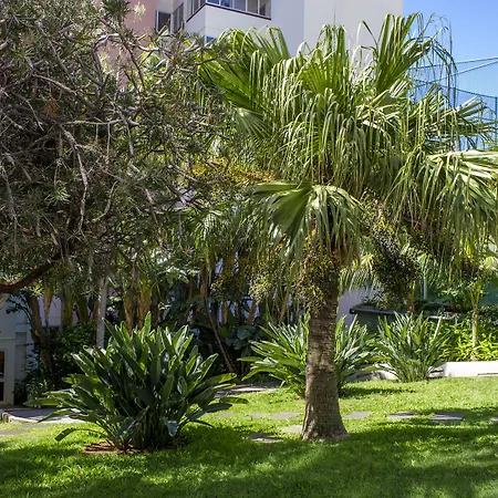 Dorisol Buganvilia Studio Hotel-3