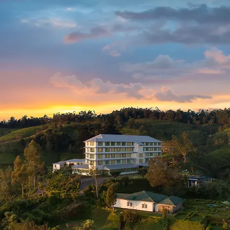 Heritance Tea Factory (Adults Only)-3