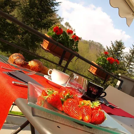 Hotel Abetaia-3