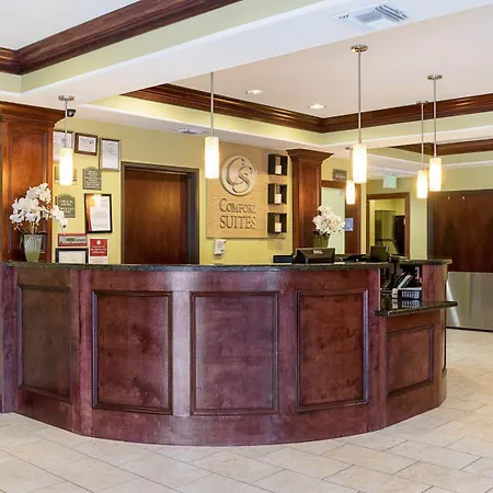 Comfort Suites Harvey - New Orleans West-3