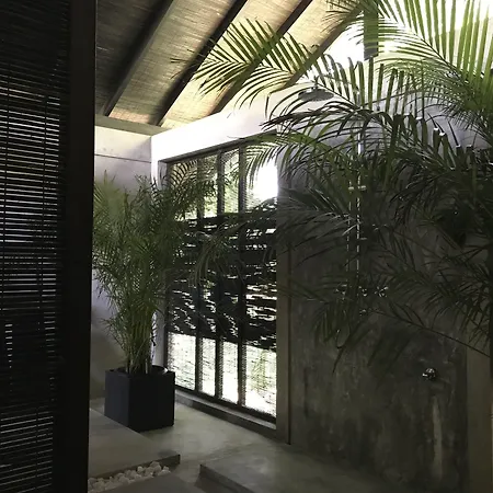 Kaju Green Eco Lodges-2