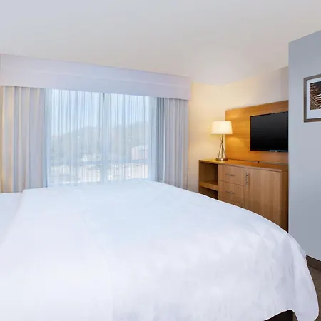 Holiday Inn Morgantown-University Area By Ihg-2