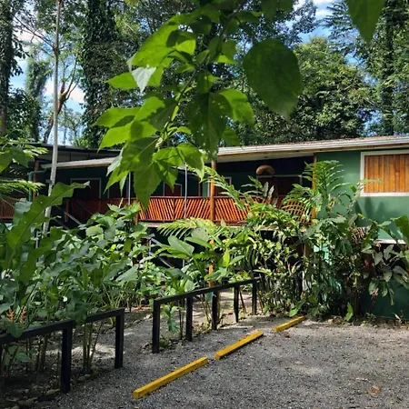 Hotel Boutique The Green Jungle House-3