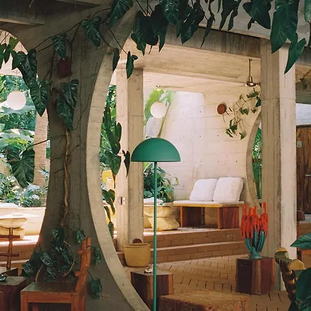 Casa To - Adults Only-2