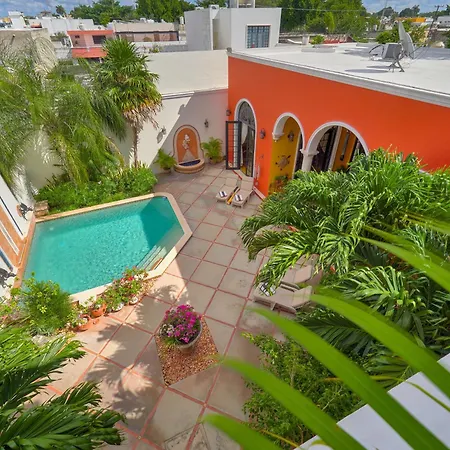 Casa Oasis Guest House&Spa-2