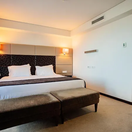 Axis Porto Business & Spa Hotel-2
