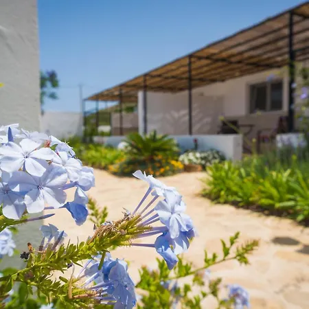 Boutique Hideaway Cortijo El Sarmiento (Adults Only)-2