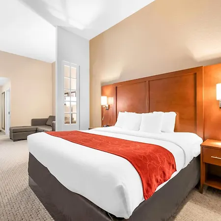 Comfort Suites Orlando Airport-3