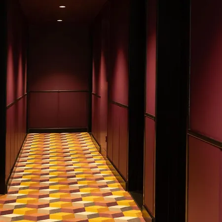 Hotel Diana Dauphine-2