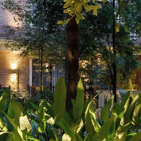 Hotel Thrive, A Tropical Courtyard-2