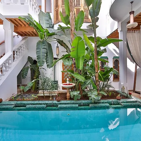 Riad Moucharabieh Matisse-2