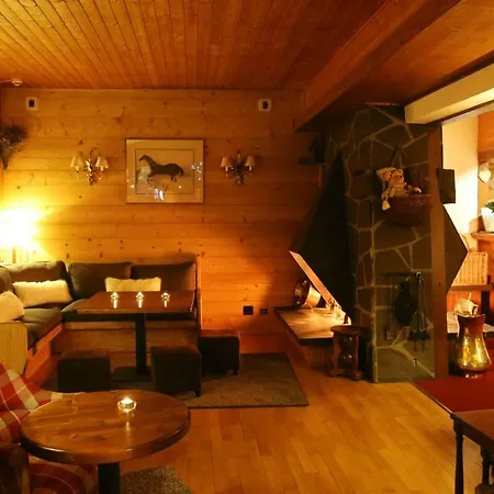 Hotel&Spa Le Dahu-3