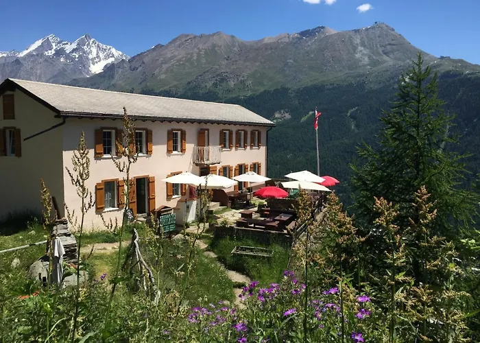 Hotel mit Hund Edelweiss Mountain Guest House - 1 Hour Hike Up From Zermatt Station - On Hiking Trail - No Transport