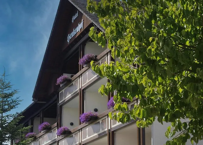 3-Sterne-Hotel: Landhotel Henkenhof Willingen