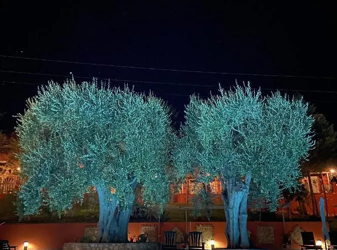 Hotel 3 stelle: Hotel Resort Poggio degli Ulivi