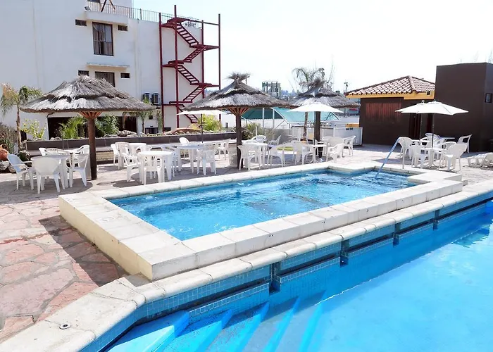 Perros hoteles Presidente