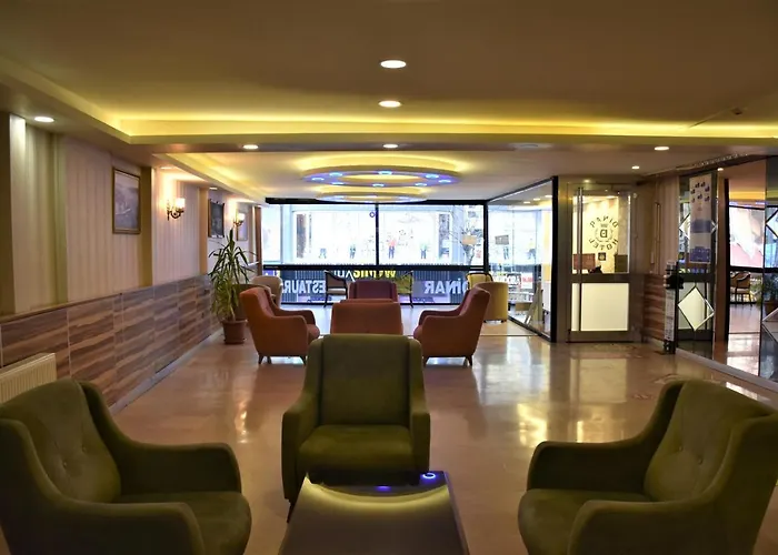 Hôtel: Dinar Hotel