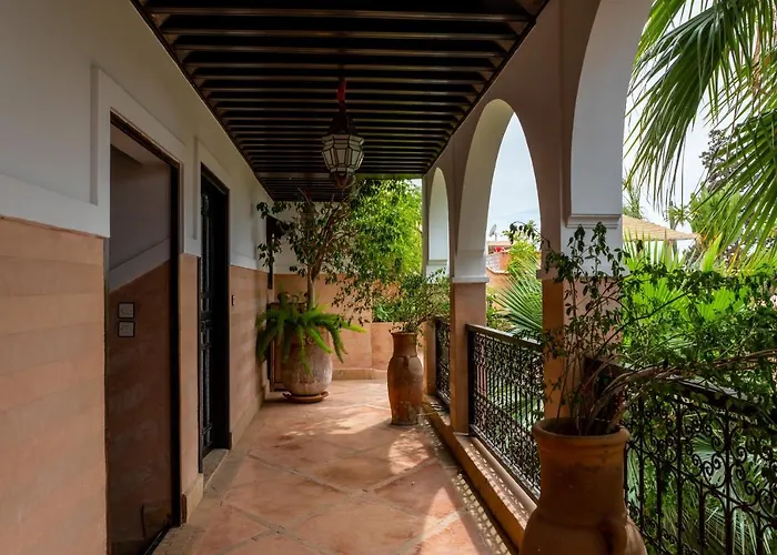 Hôtel accueillant les animaux: Riad Espoir, Riad de charme en exclusivité dans la médina de Marrakech