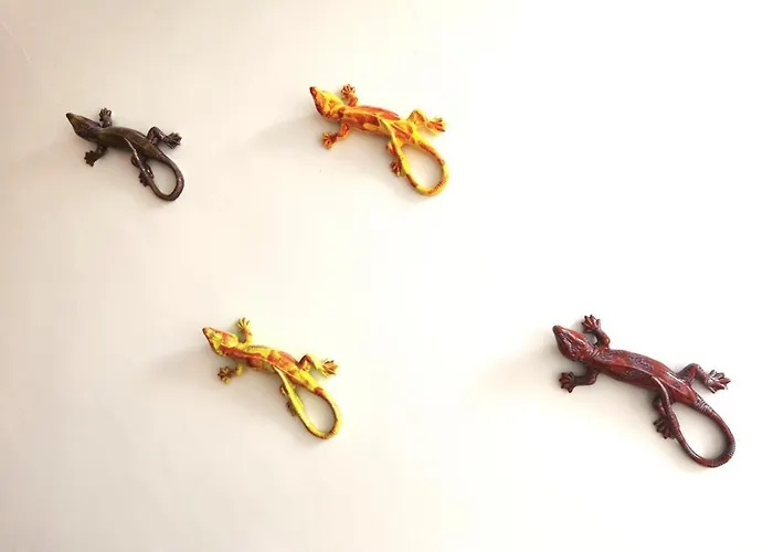 Hotel que aceita animais de estimação: Finu Oporto Apartments