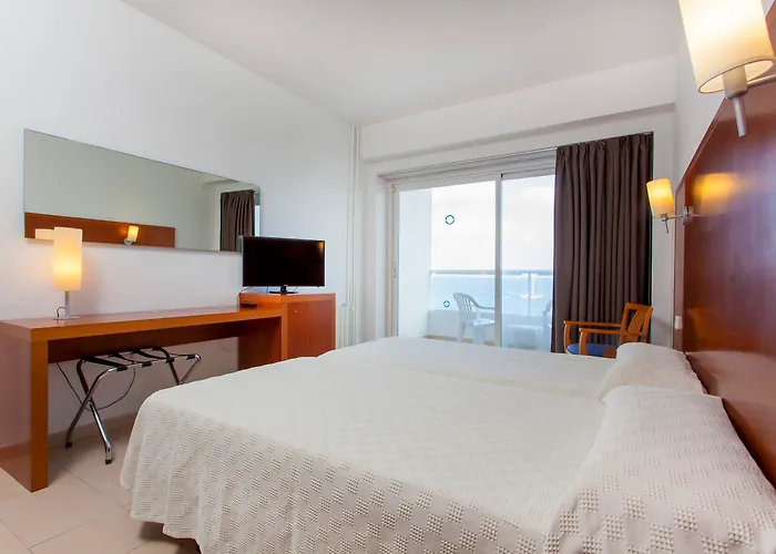 Hôtel accueillant les animaux: Hotel Ibiza Playa