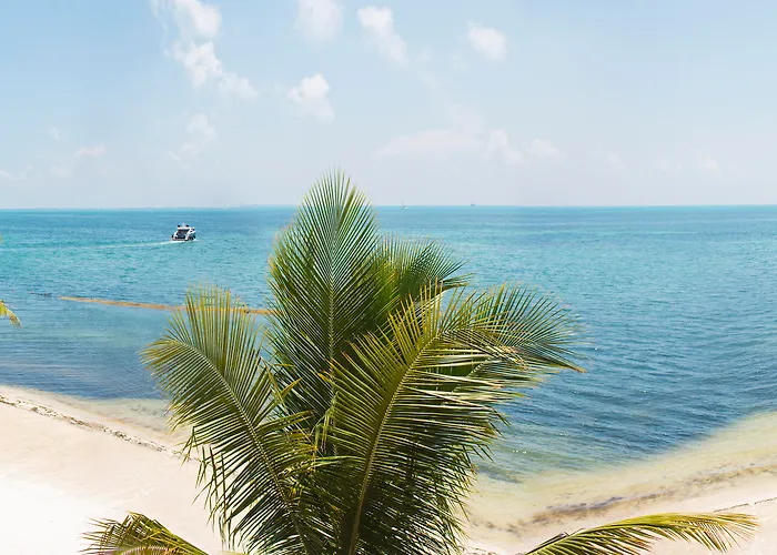 Hotel 4 estrelas: All Ritmo Cancun Resort & Water Park