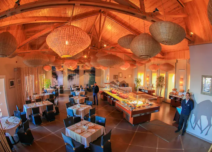 Animaux admis Paradis Plage Surf Yoga & Spa