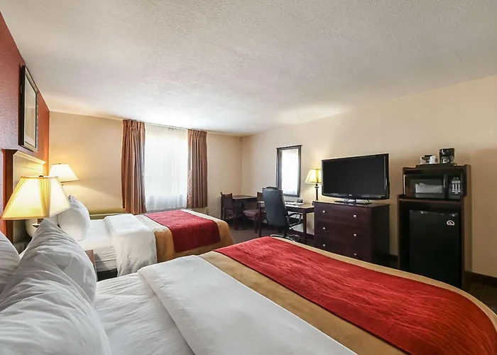 Hotel with view: Quality Inn Kingsville Hwy 77