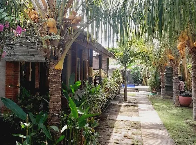 La Paparrucha Bali