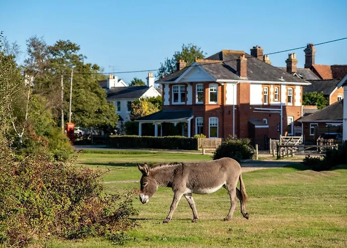 Villa: Surrey Lodge