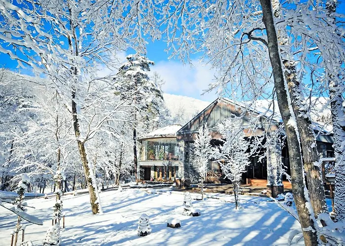 Hotels with pool Sierra Hakuba