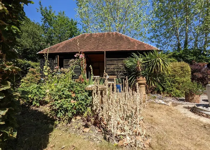 Apartment: Cabin In The Forest