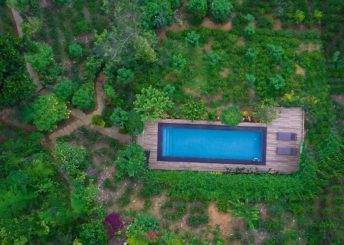 Vacation homes Tea Cabins