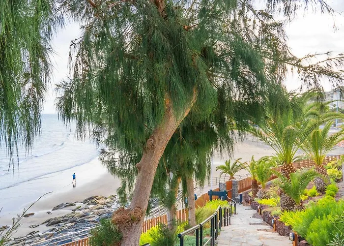 Apartment: Apartamentos Buganvilla - Adults Only