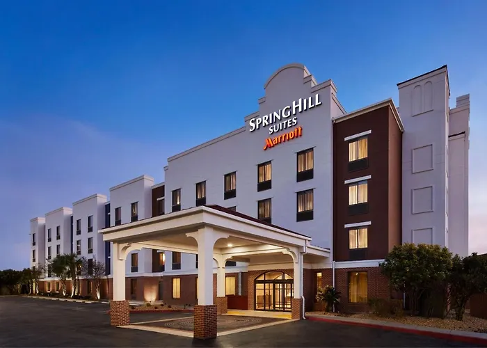 Pet Friendly hotel: Springhill Suites By Marriott San Antonio Downtown-Riverwalk Area