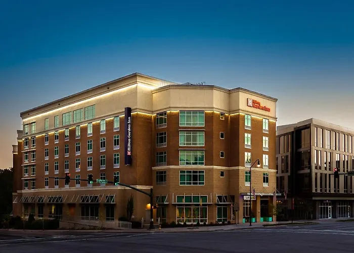 Hilton Garden Inn Downtown