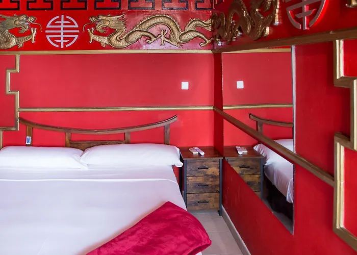 Perros hoteles Casual Civilizaciones