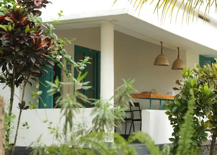 Pet Friendly hotel: Cliff & Coral