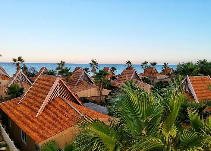 Hotels with pool Toison D'Or